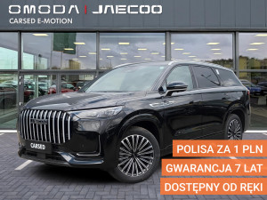 Miniaturka zdjęcia