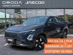 Miniaturka zdjęcia