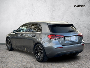 Miniaturka zdjęcia