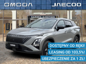 Miniaturka zdjęcia