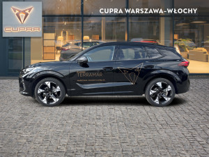 Miniaturka zdjęcia