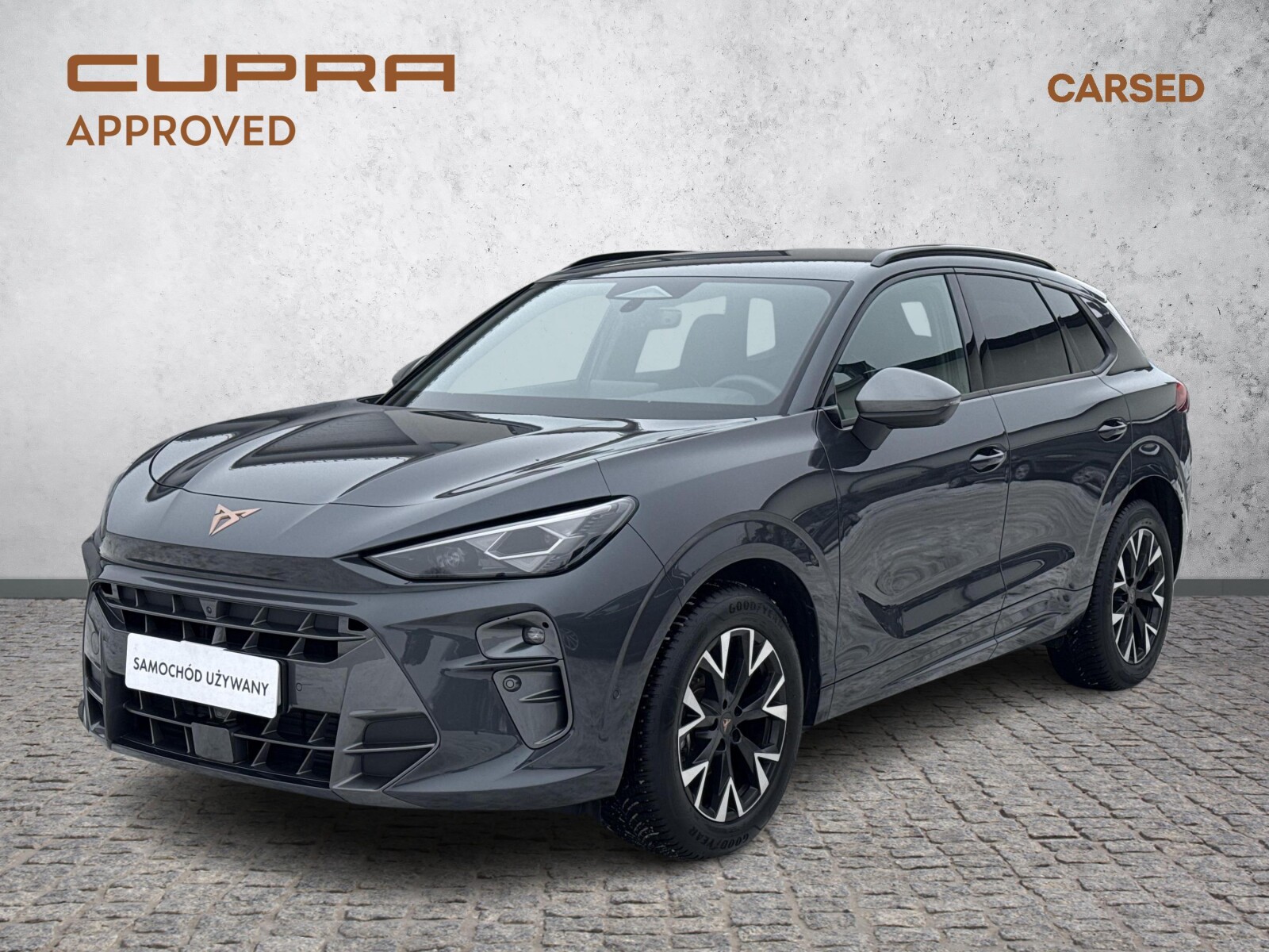 Cupra Terramar
