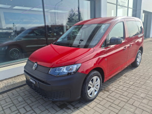 Miniaturka zdjęcia