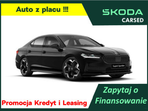 Miniaturka zdjęcia