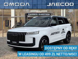 Miniaturka zdjęcia